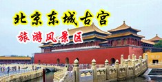 美女操黄片鸡巴中国北京-东城古宫旅游风景区